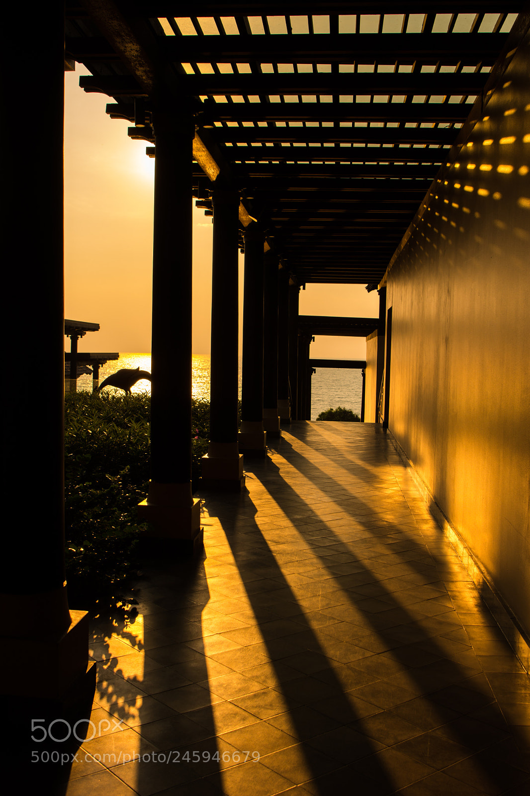 Nikon D7100 sample photo. Lights photography