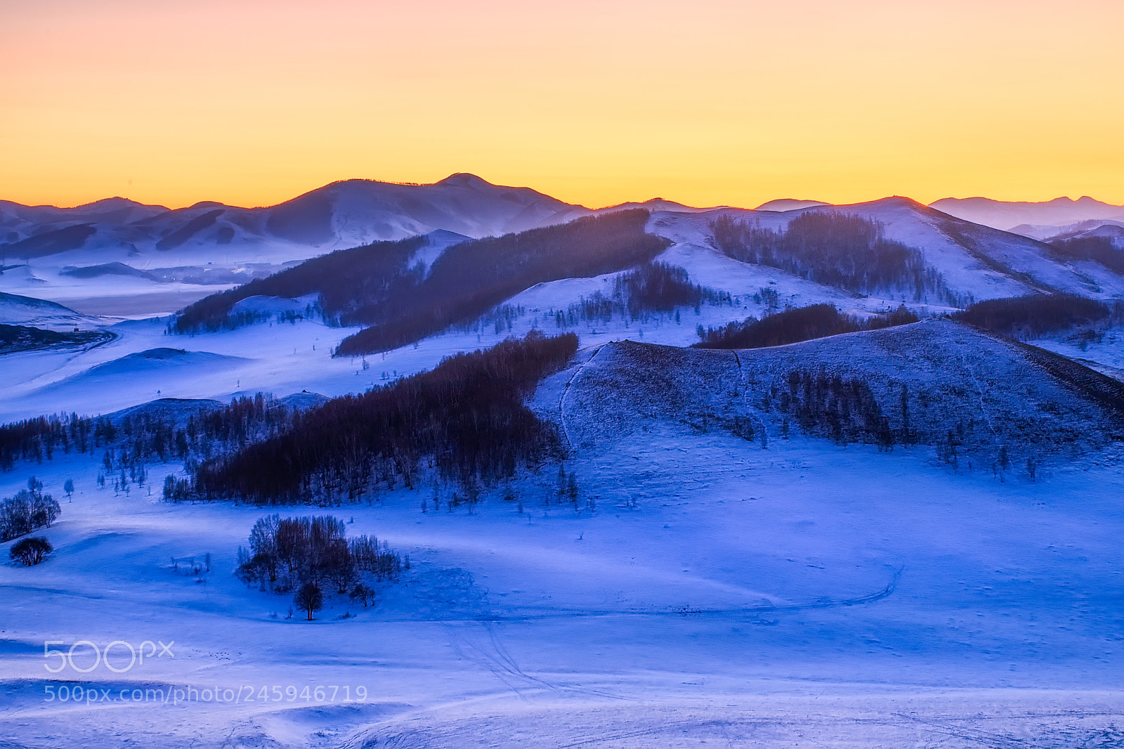 Canon EOS-1D X Mark II sample photo. 乌兰布统 photography