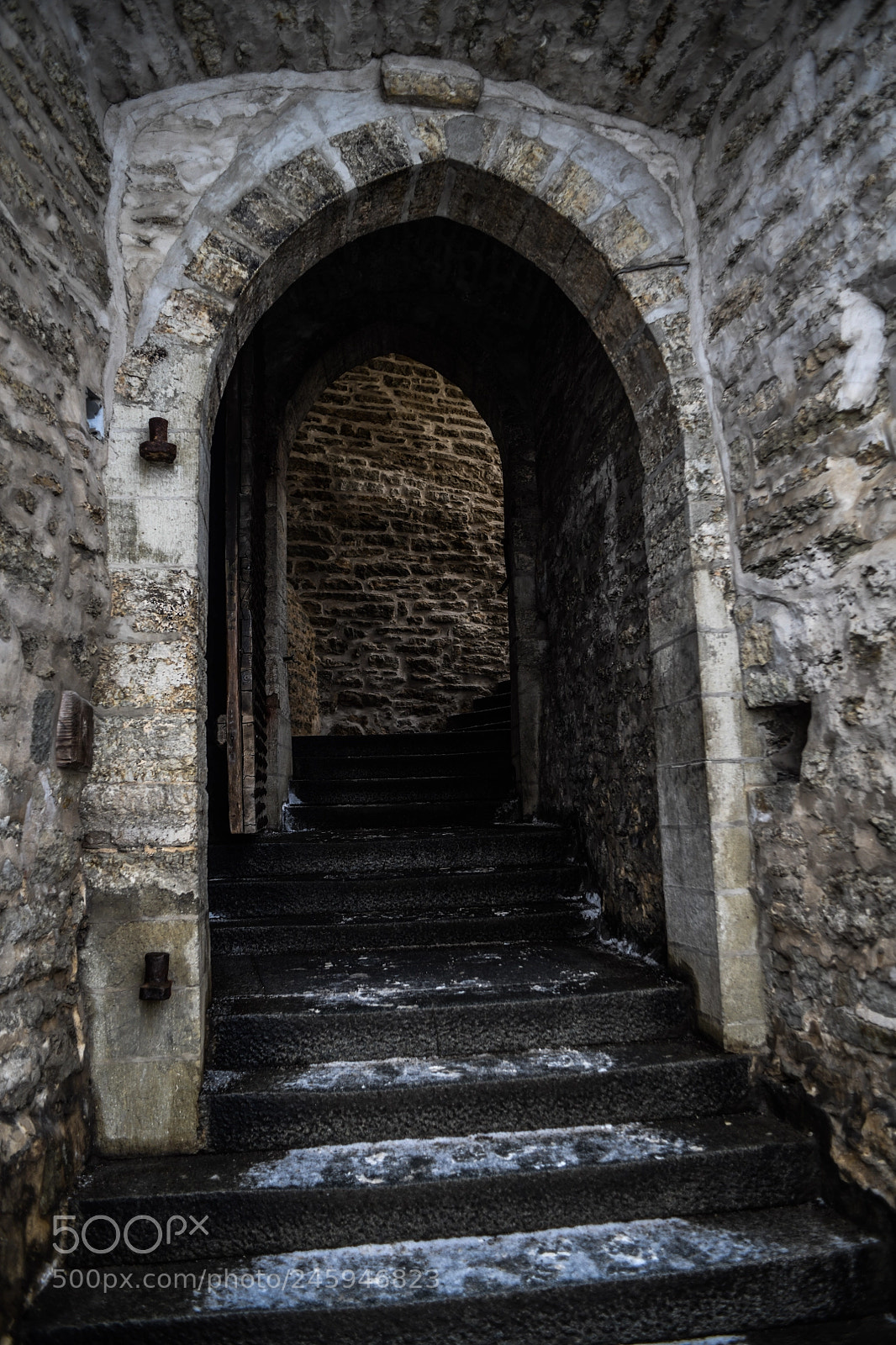 Nikon D850 sample photo. From light to light photography