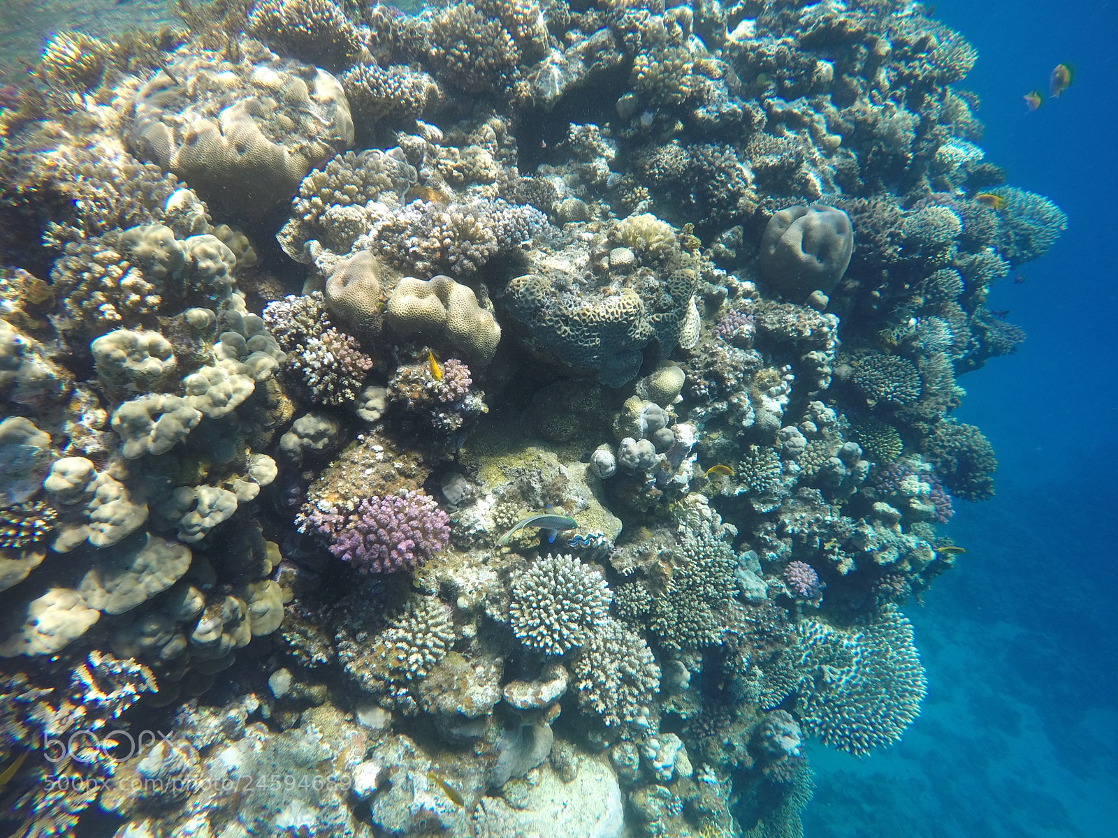 GoPro HERO4 Silver sample photo. Untitled photography