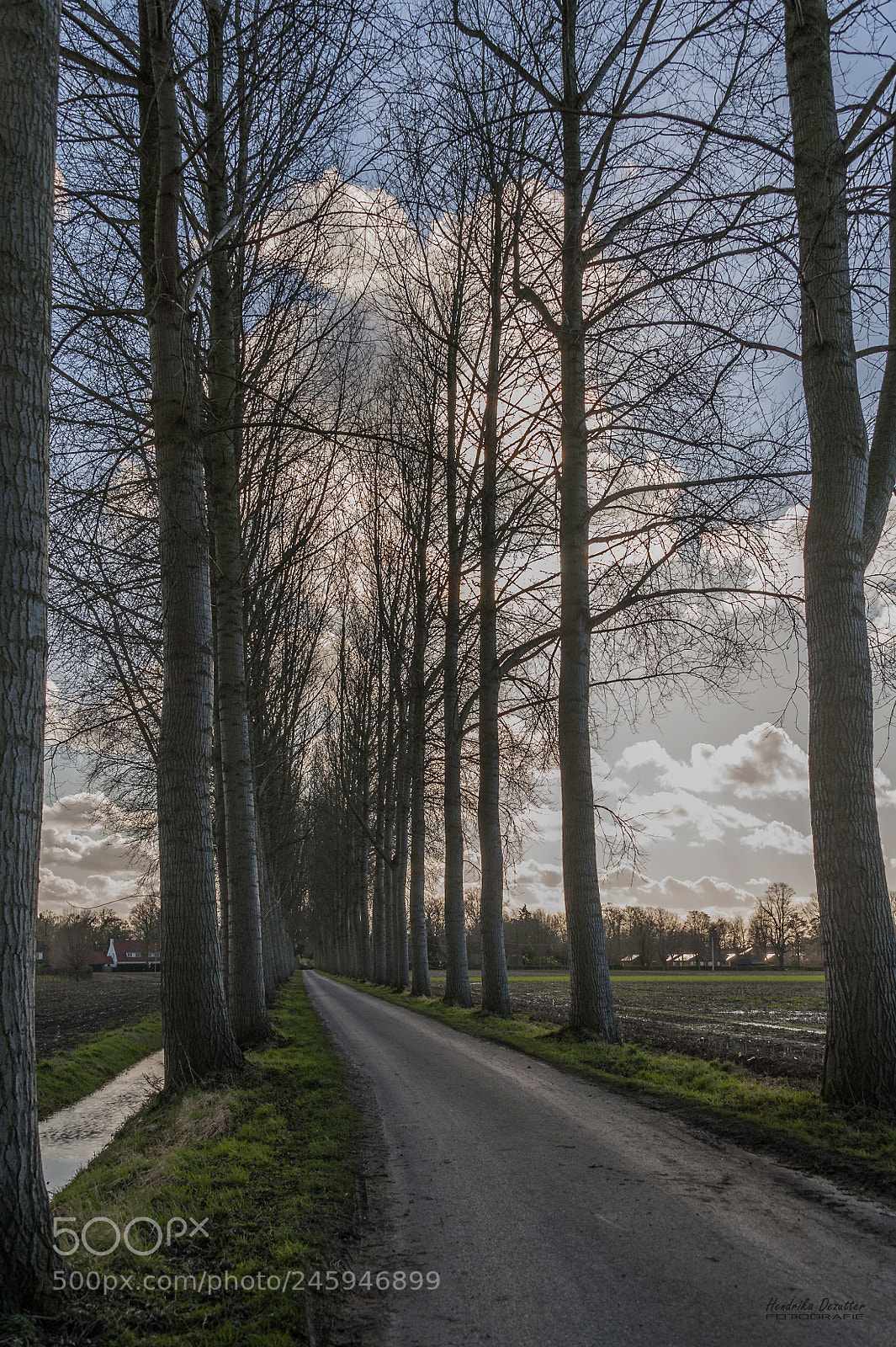 Nikon D3 sample photo. Walkway photography