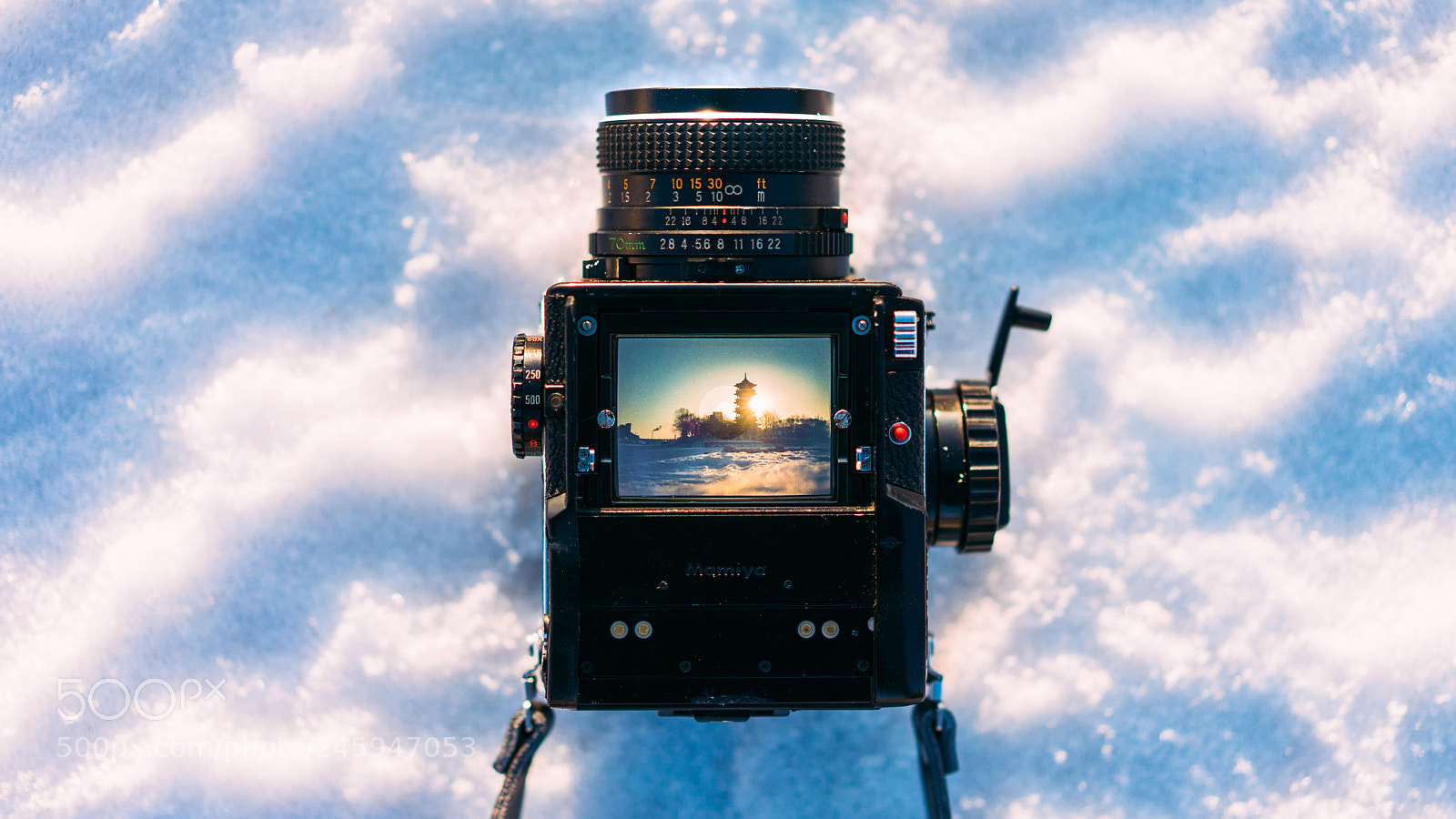 Sony a7 II sample photo. Mamiya m645 photography