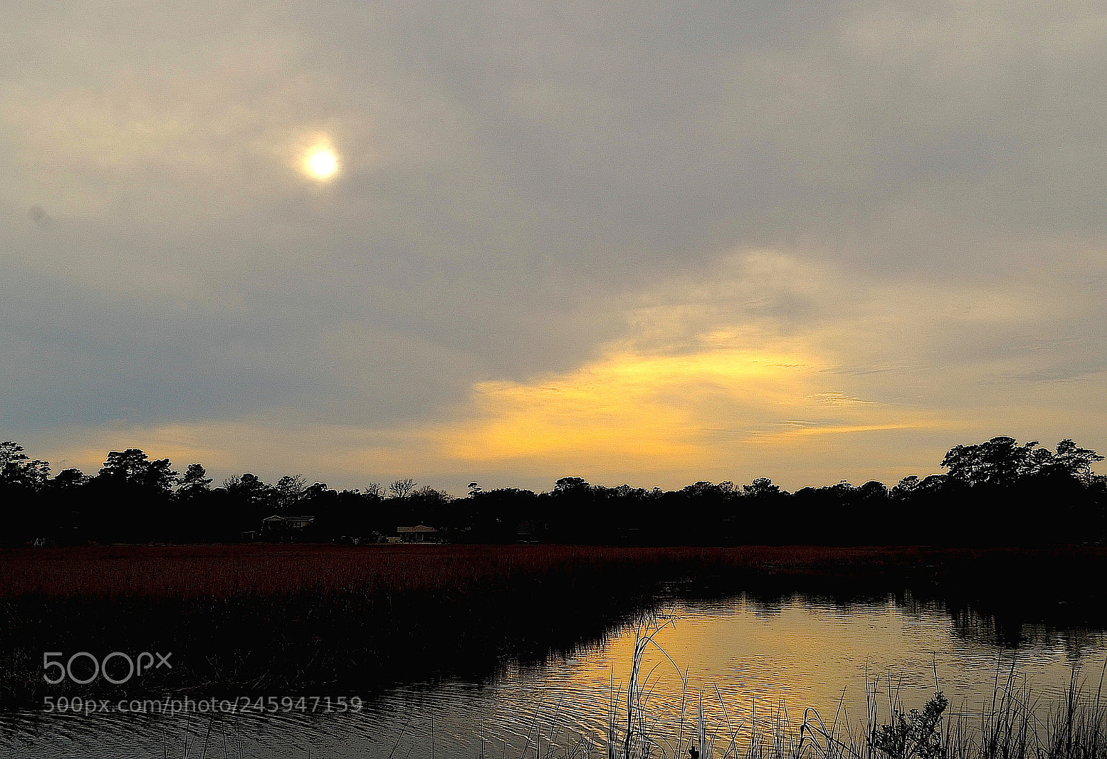 Nikon D5100 sample photo. Untitled photography