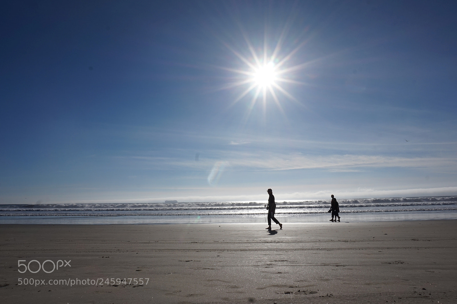 Sony Alpha a5000 (ILCE 5000) sample photo. Vitamin sea photography