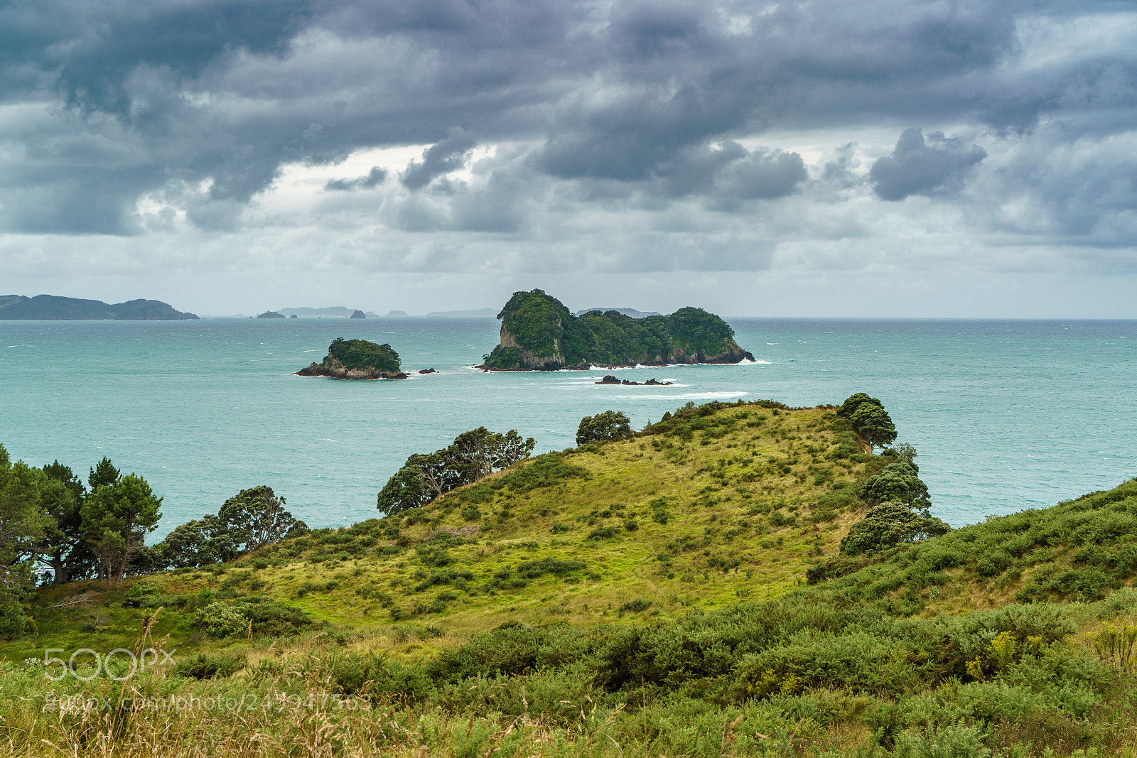 Sony a9 sample photo. Hahei coast walk photography