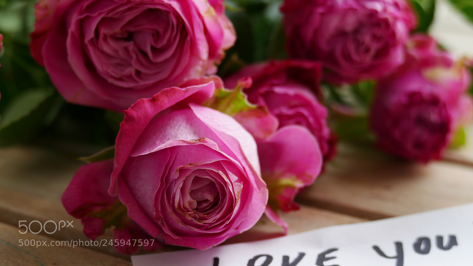 Panasonic Lumix DMC-FZ1000 sample photo. Love is in the photography