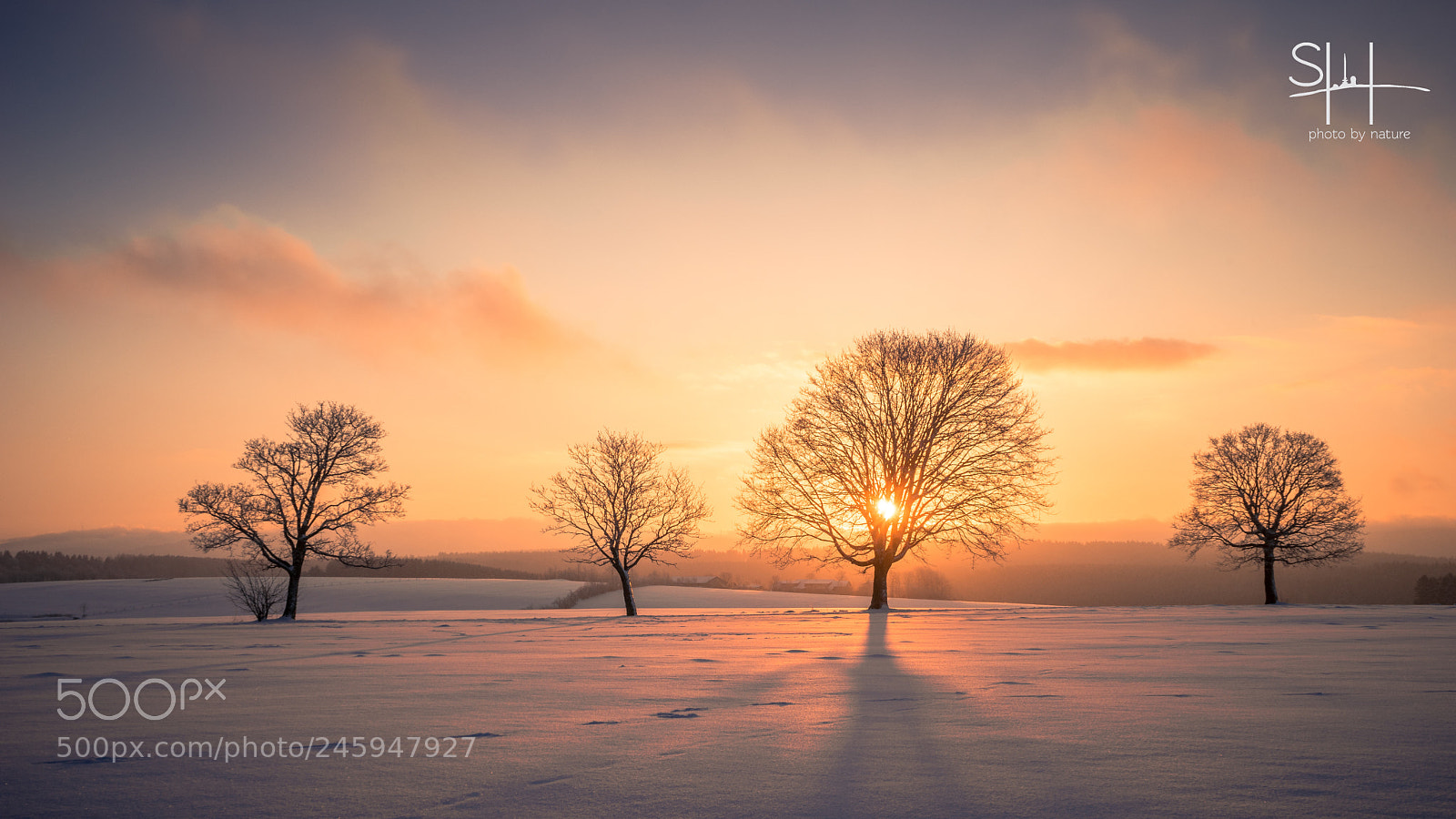 Sony a7 sample photo. Hello winter photography