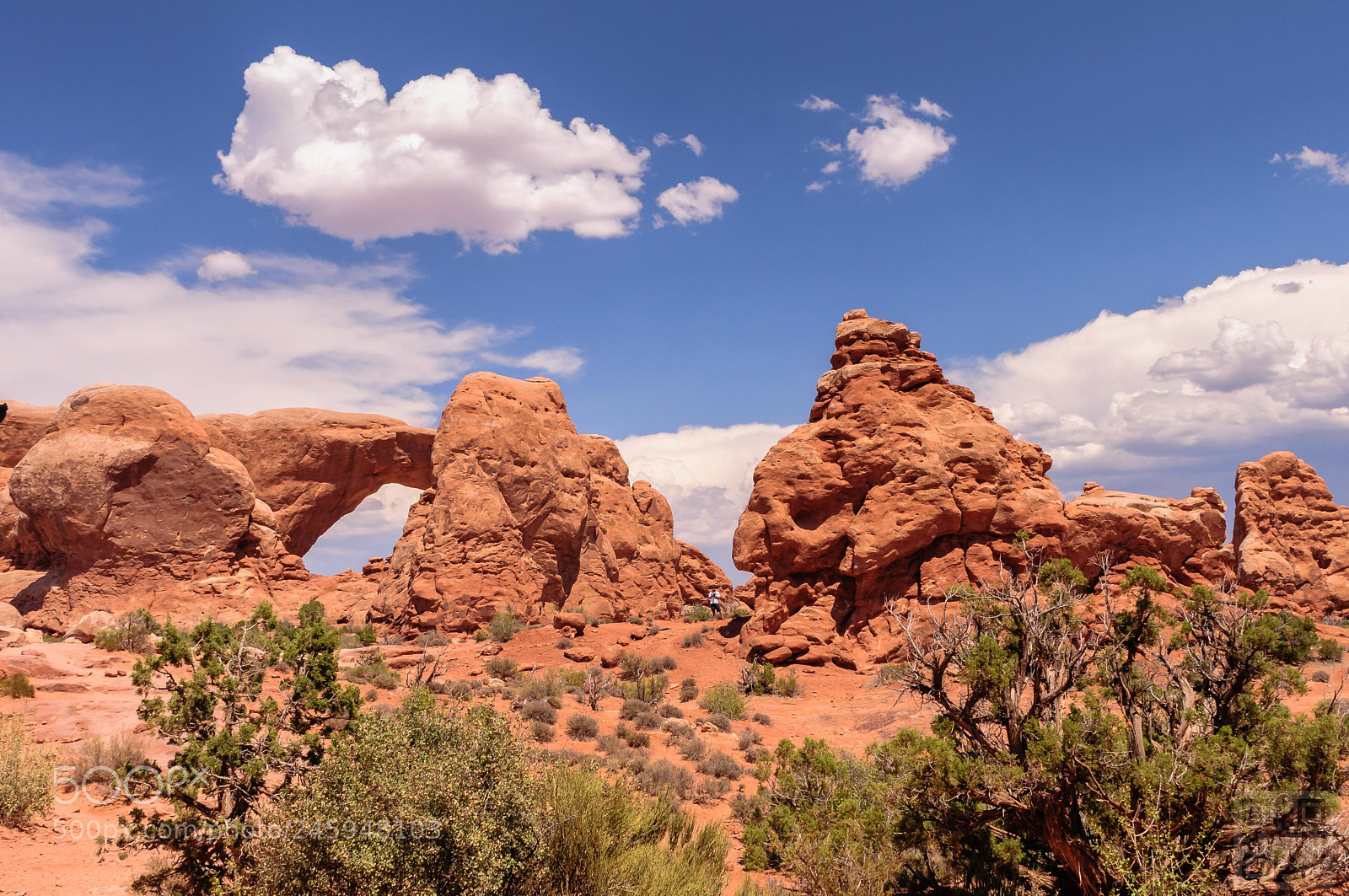 Nikon D300S sample photo. Arches national park photography