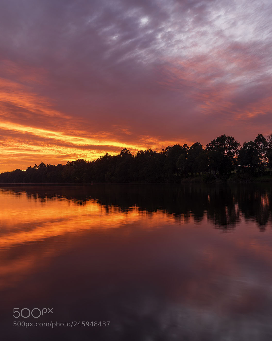 Sony a7R sample photo. Nepean river penrith nsw photography