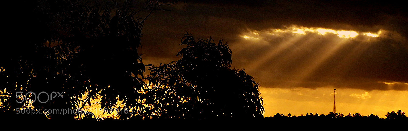 Fujifilm FinePix SL1000 sample photo. Sunset .... photography
