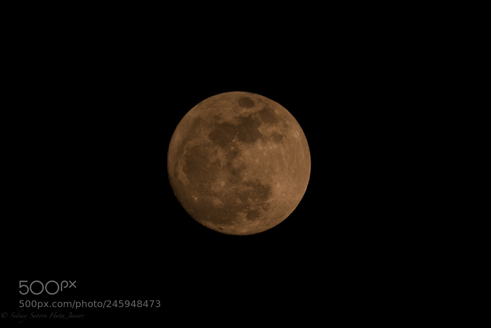 Sony a7R III sample photo. Super wolf moon red photography