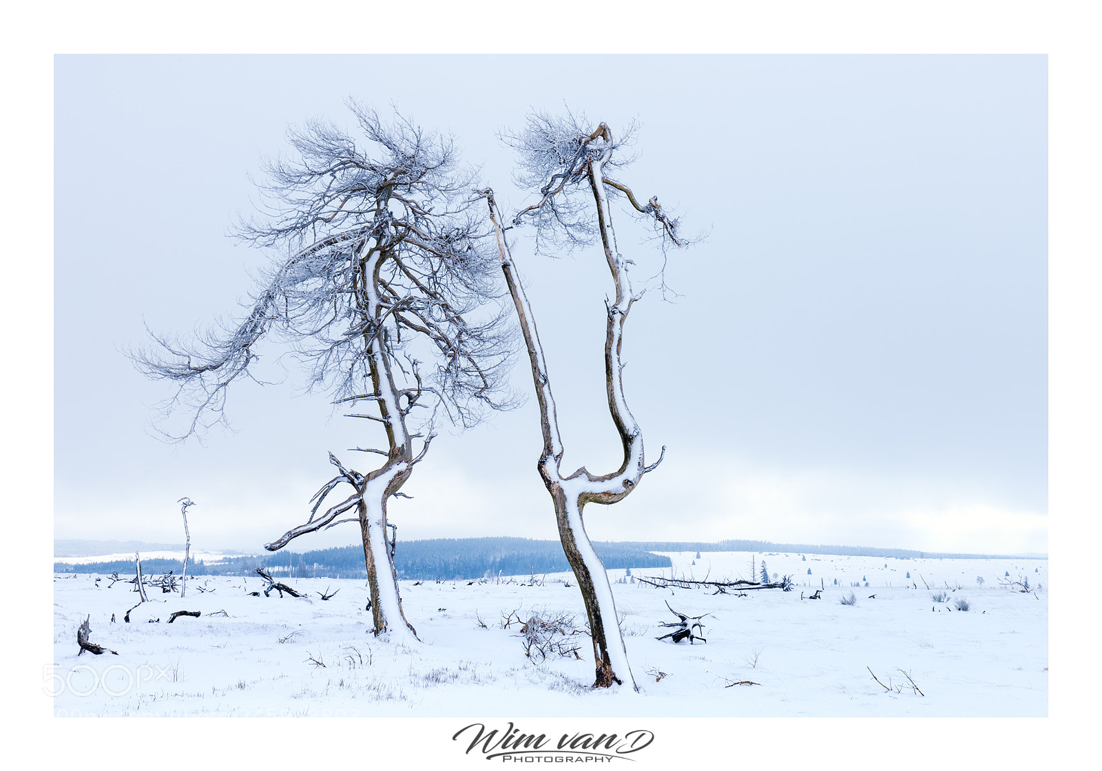 Canon EOS 6D Mark II sample photo. Belgium winter photography