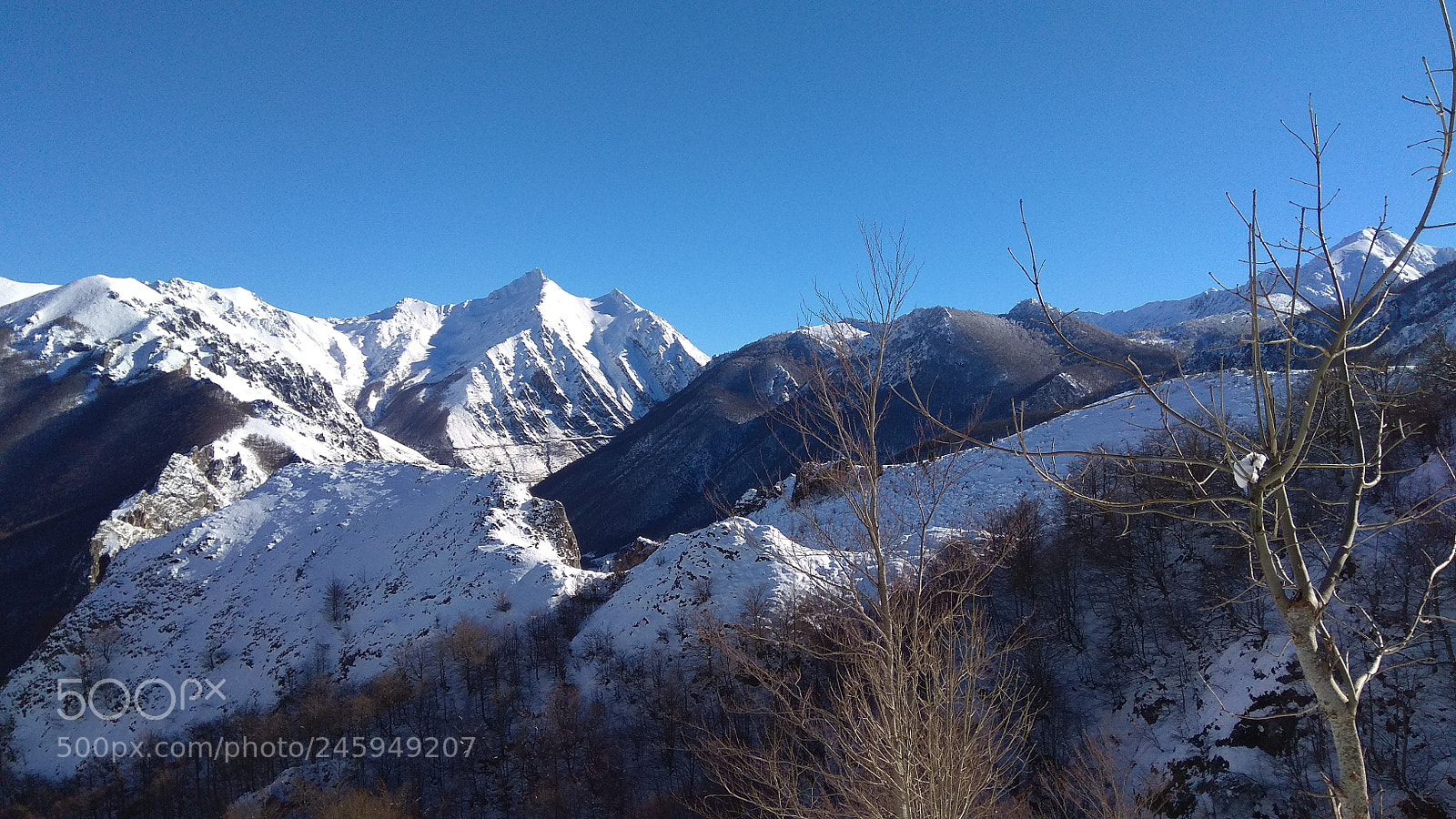 Xiaomi Redmi Note 4 sample photo. Untitled photography