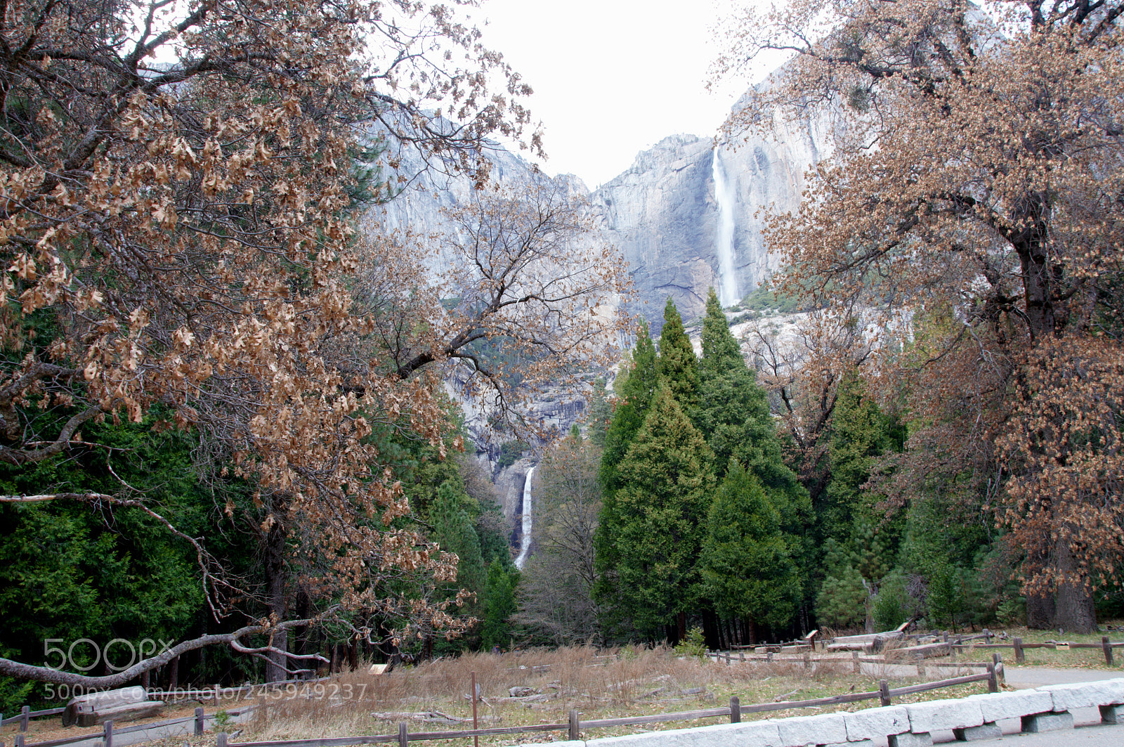 Nikon D90 sample photo. Yosemite1 photography