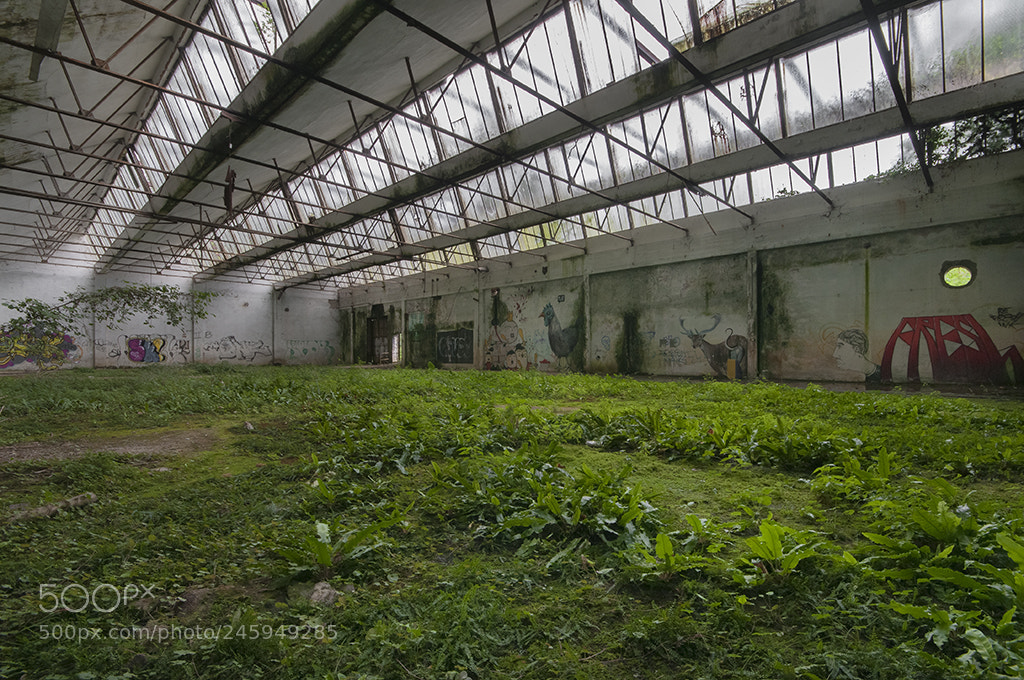 Nikon D300 sample photo. Pascoli industriali photography