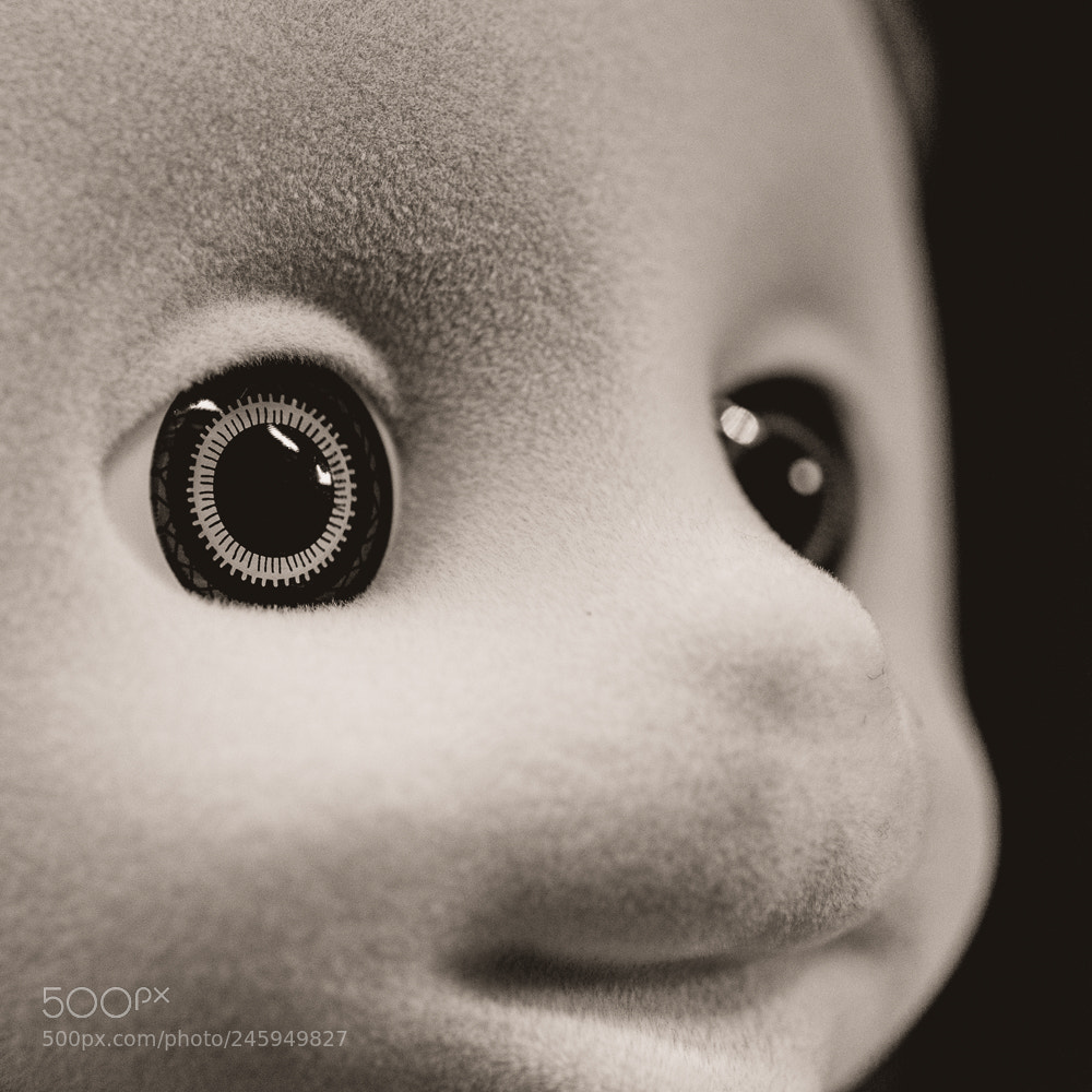 Nikon D5600 sample photo. Creepy toy eyes photography