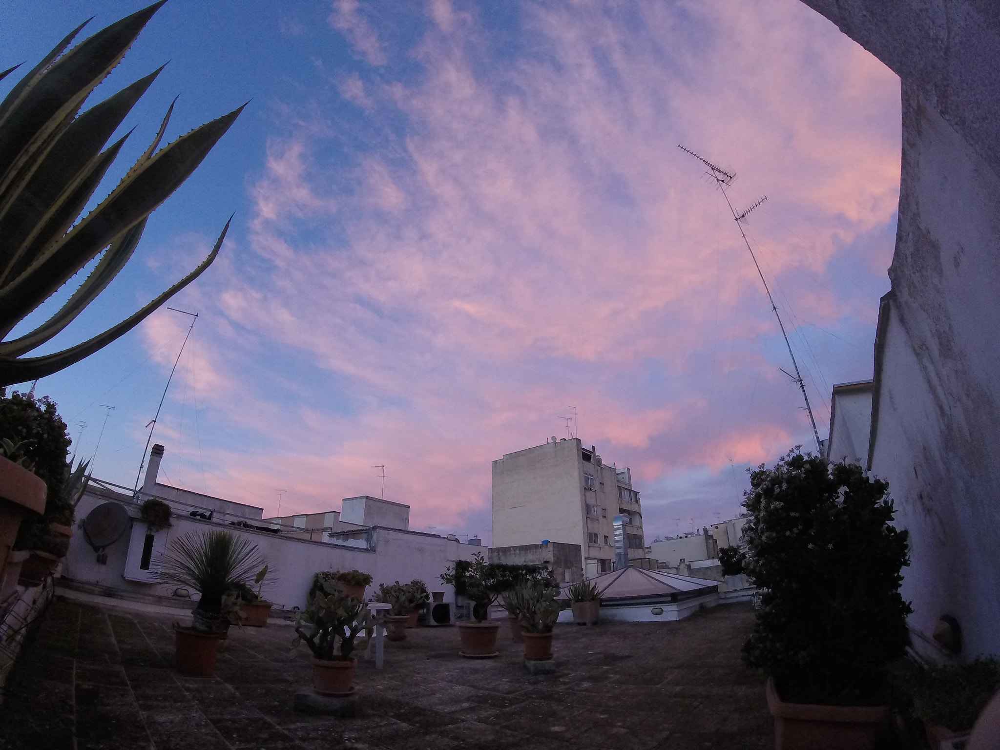GoPro HERO sample photo. P¡nk sky photography