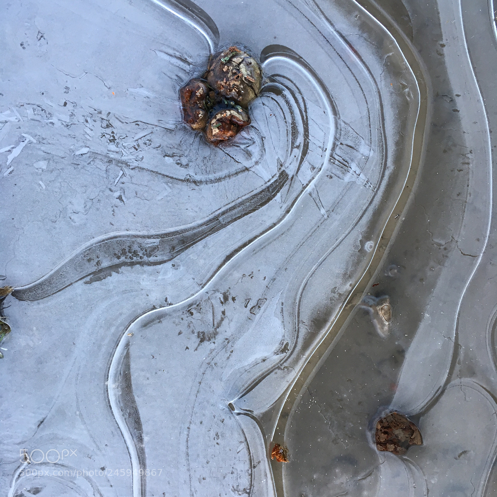 Apple iPhone SE sample photo. Frozen stream photography