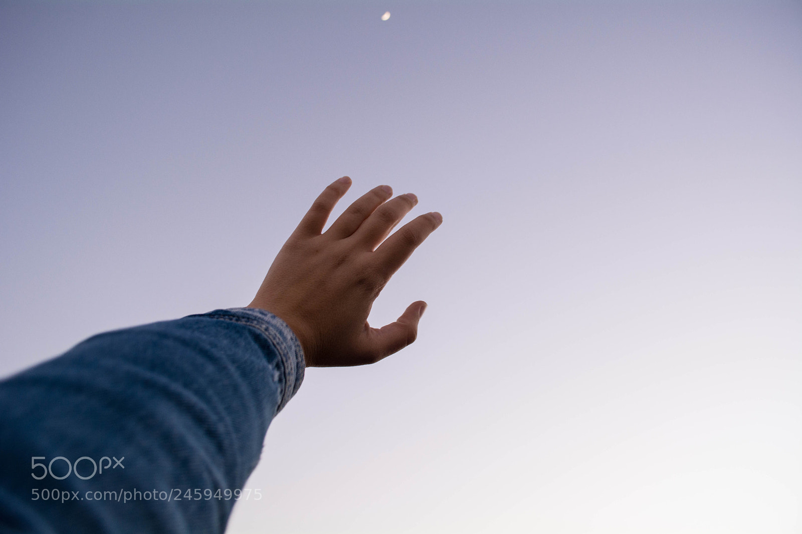 Nikon D5200 sample photo. Live the moment photography