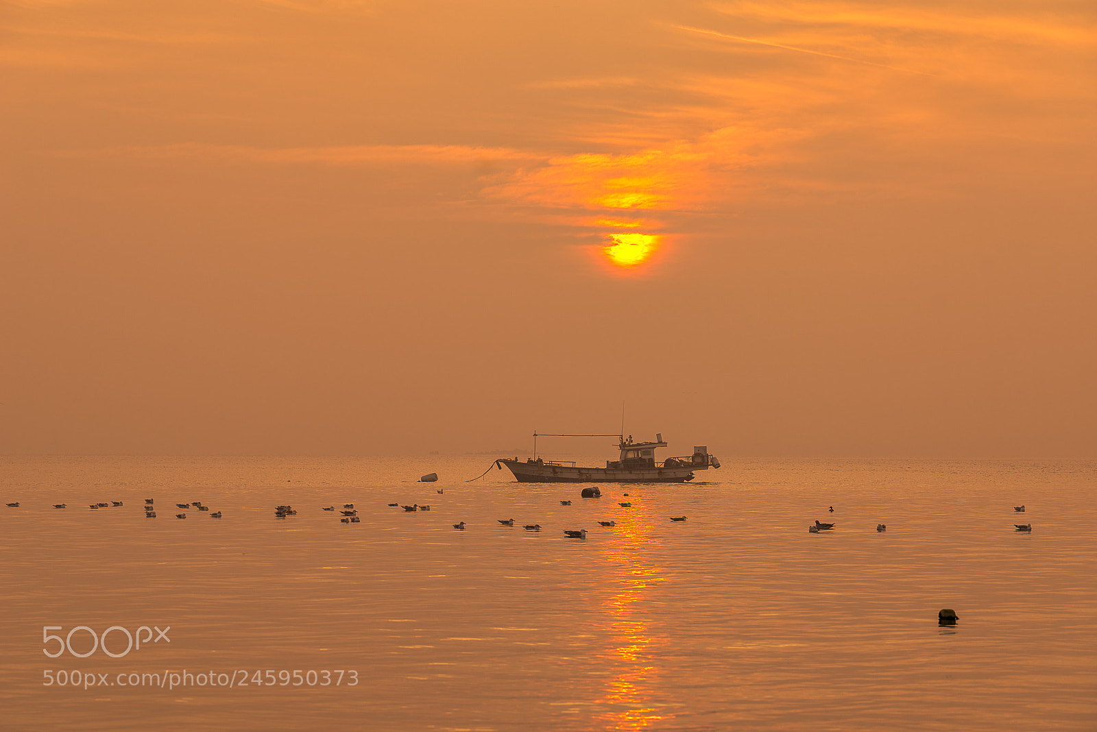 Sony a7R sample photo. Gold photography