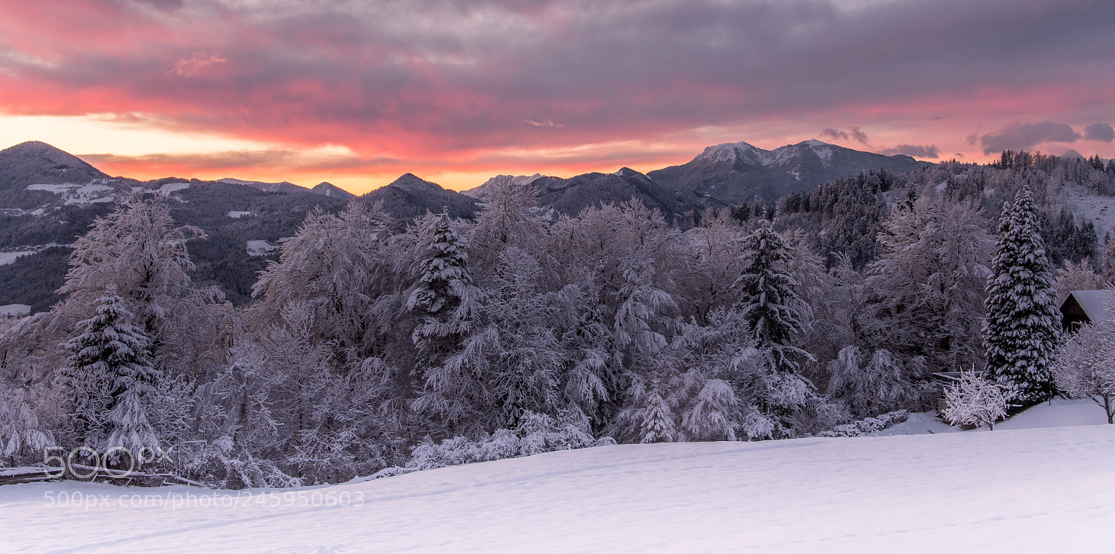 Nikon D500 sample photo. Winter evening photography