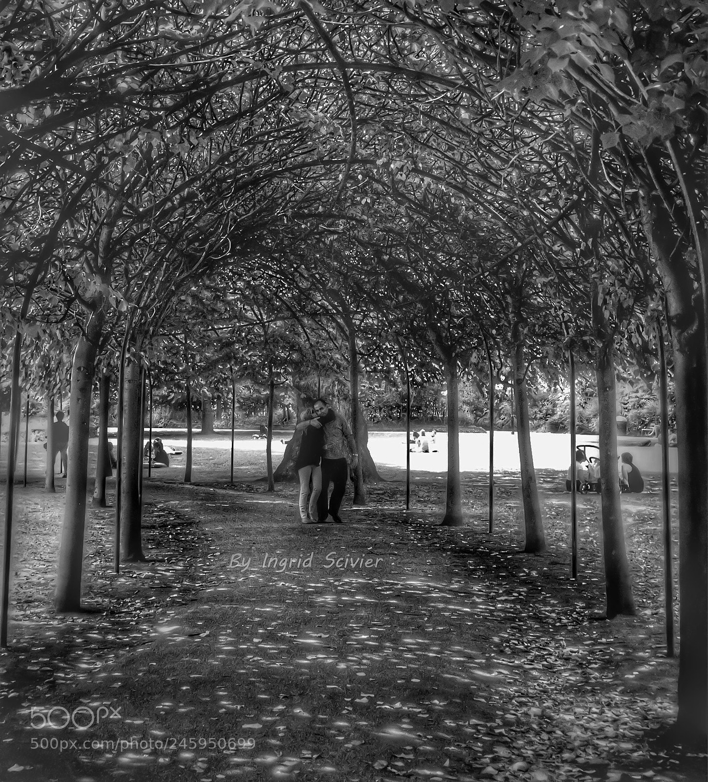 Canon EOS 60D sample photo. The walk of love photography