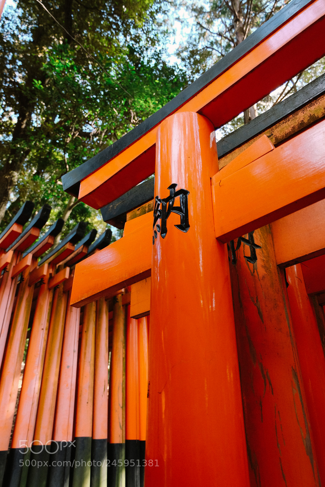 Fujifilm X-T10 sample photo. Japan18 photography