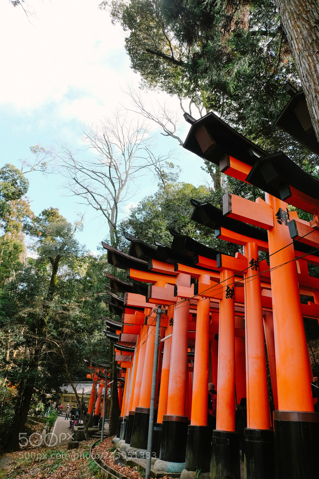 Fujifilm X-T10 sample photo. Japan18 photography