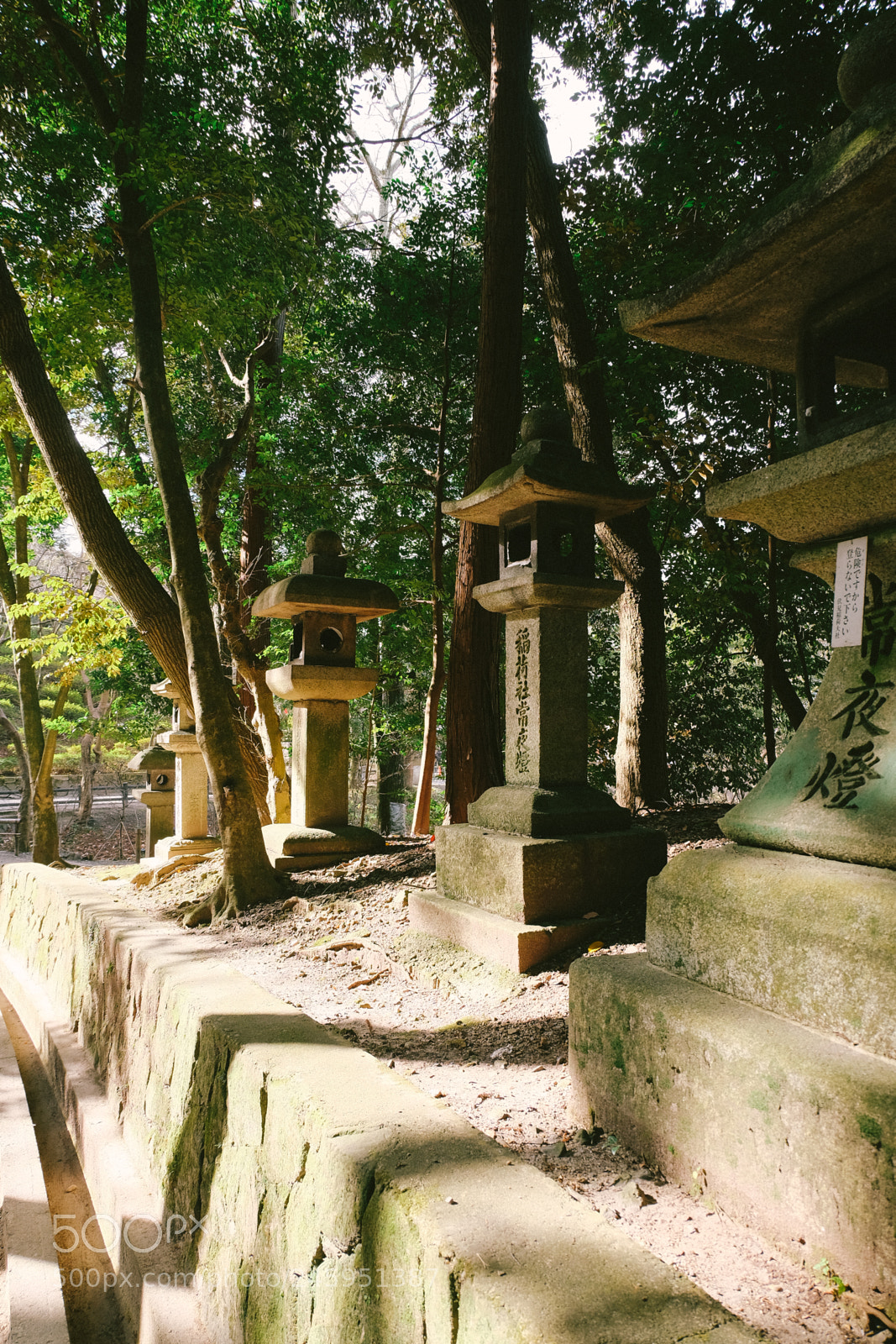 Fujifilm X-T10 sample photo. Japan18 photography