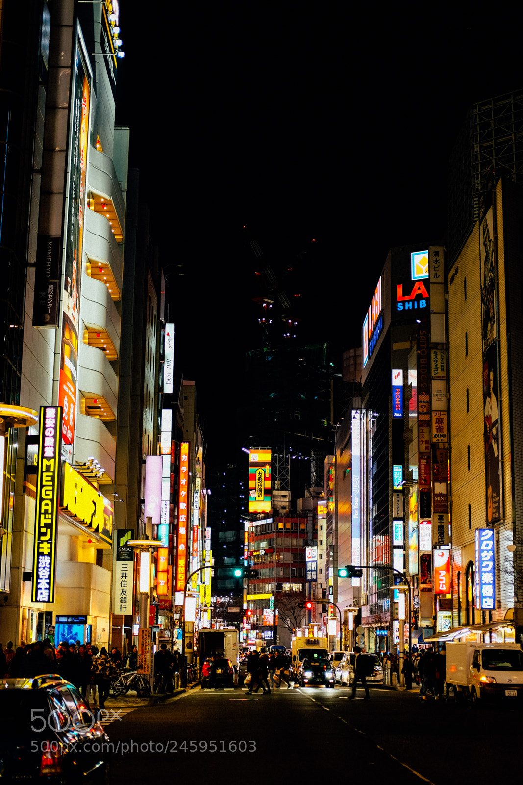 Fujifilm X-T10 sample photo. Japan18 photography