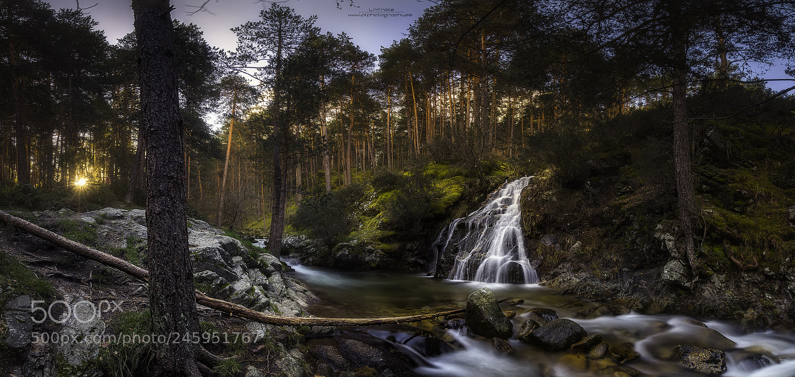 Sony a7R sample photo. Miracle photography
