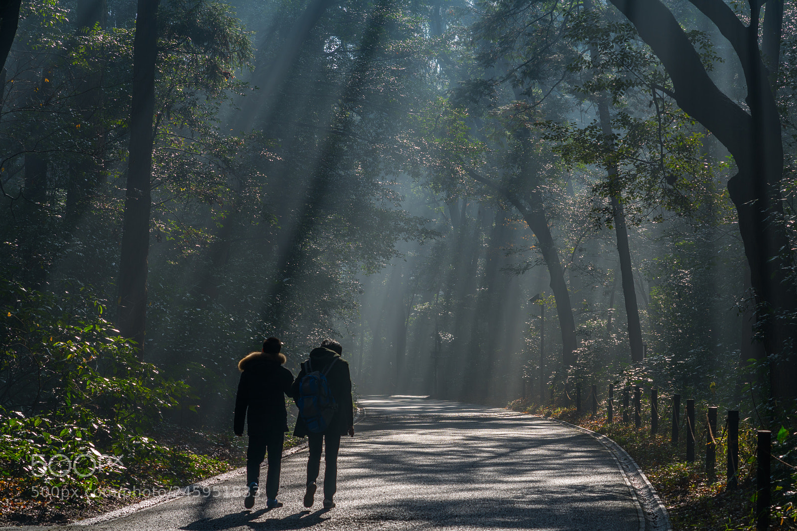Sony a7R III sample photo. A walk to remember... photography