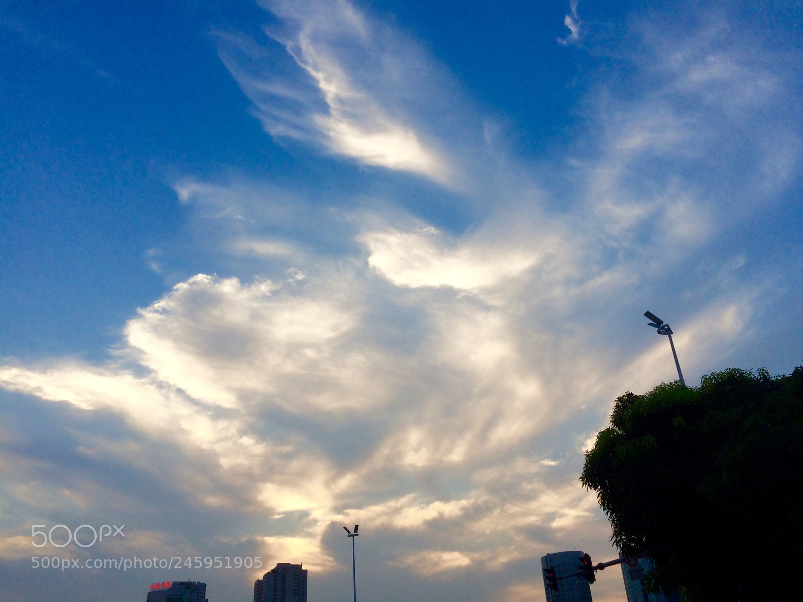 Apple iPhone 5s sample photo. Untitled photography