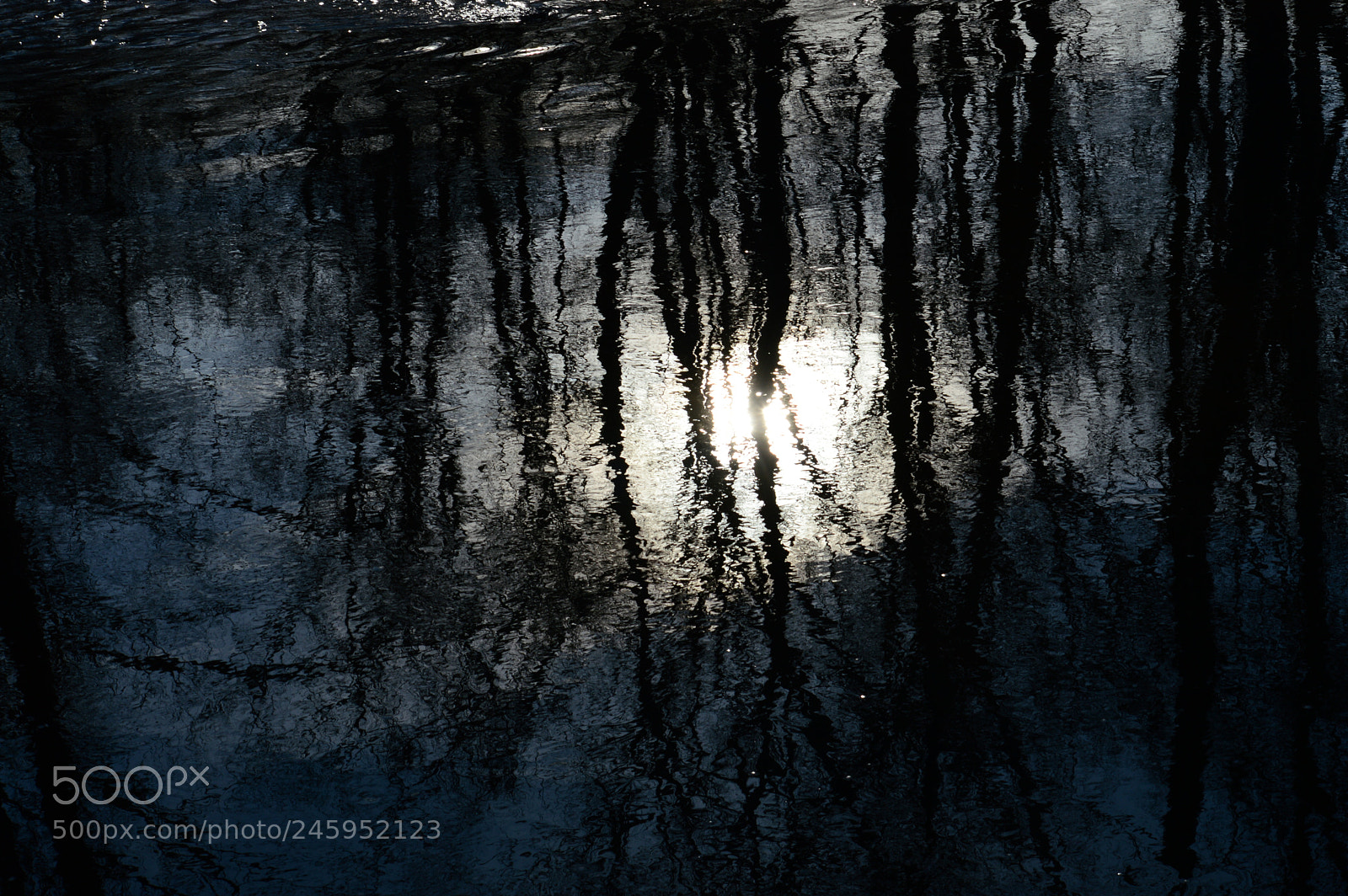 Nikon D3200 sample photo. Reflection photography