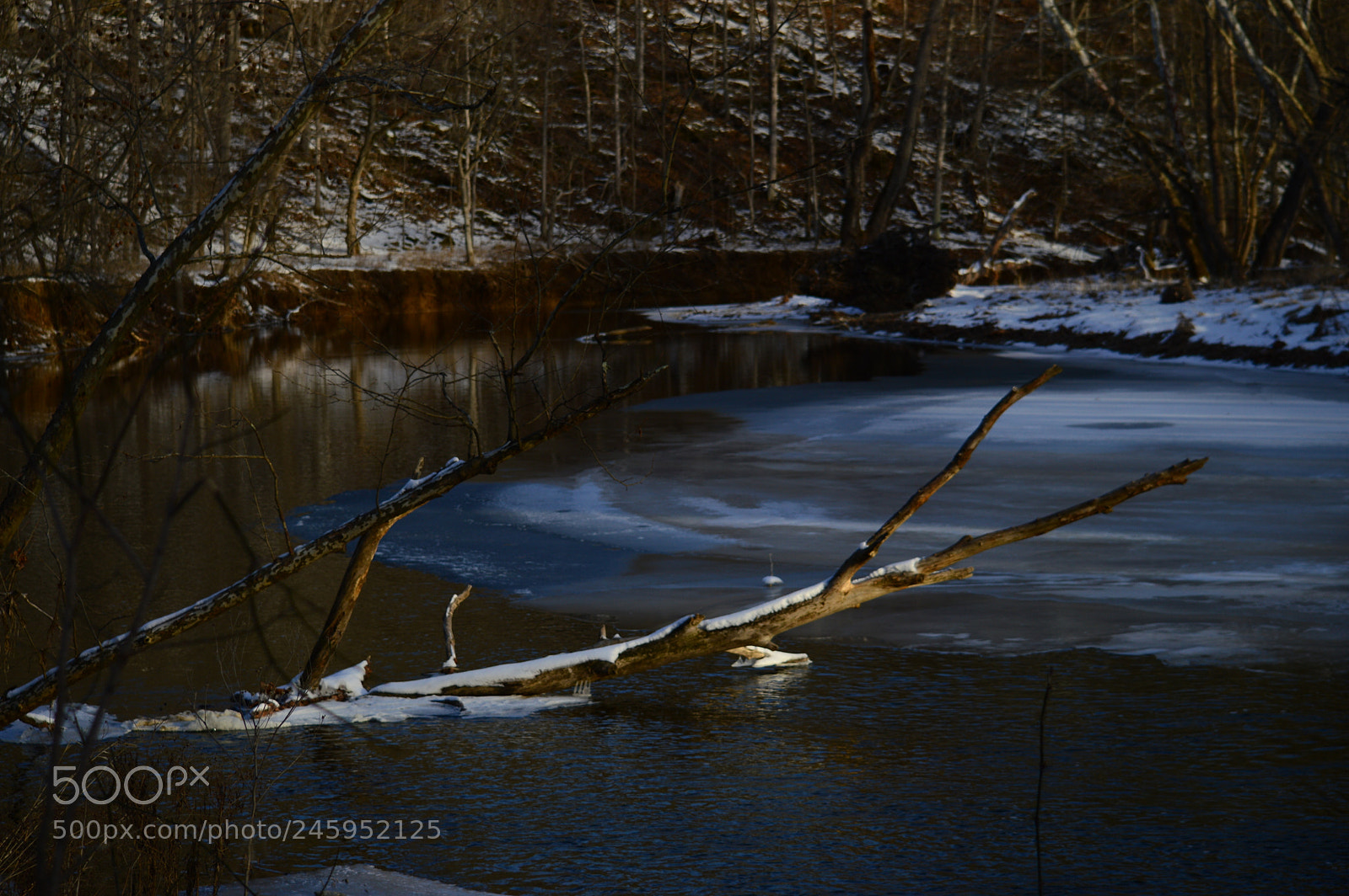 Nikon D3200 sample photo. River bend photography