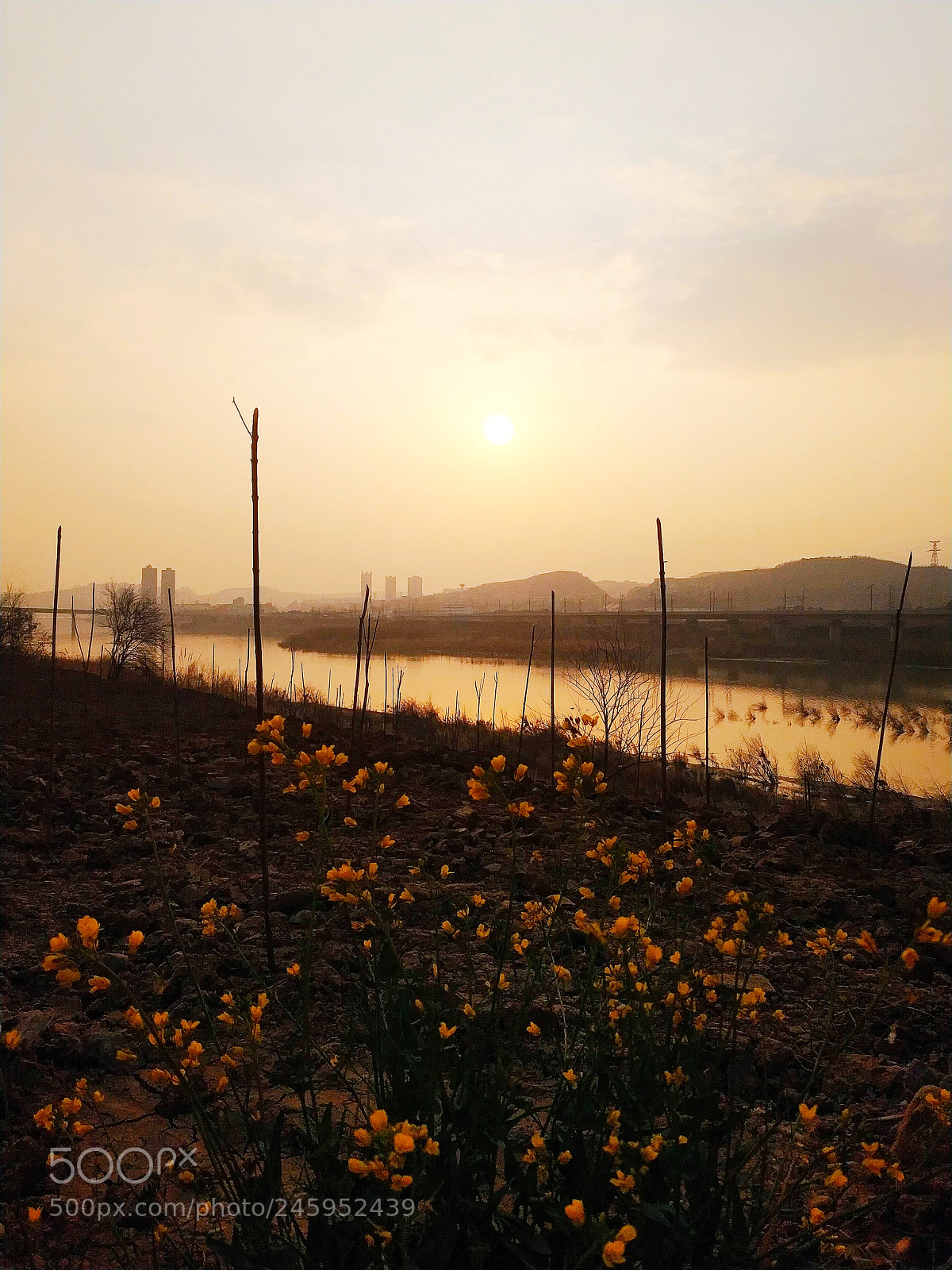 Xiaomi MIX 2 sample photo. Sunset of jialingjiang river
2 photography