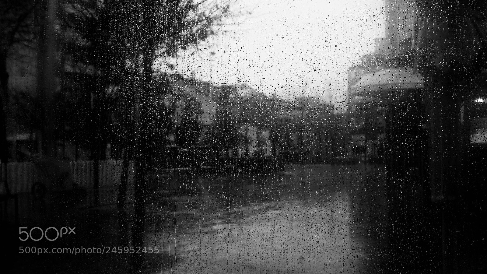 Olympus OM-D E-M1 sample photo. Rain photography