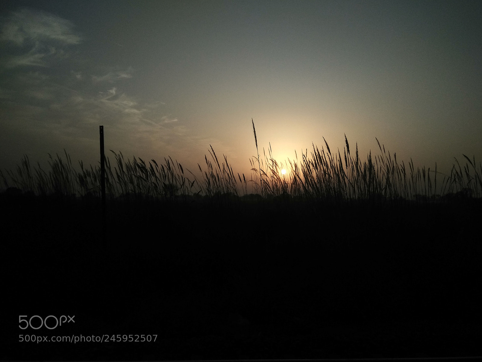 Xiaomi Redmi Note 4 sample photo. Untitled photography