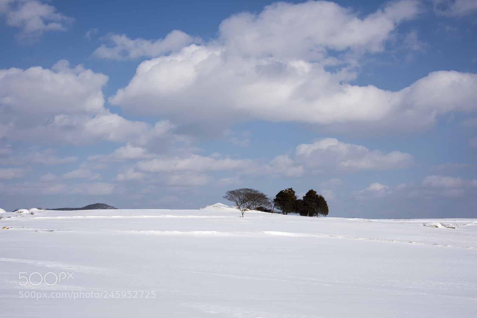 Nikon D810 sample photo. White and blue photography