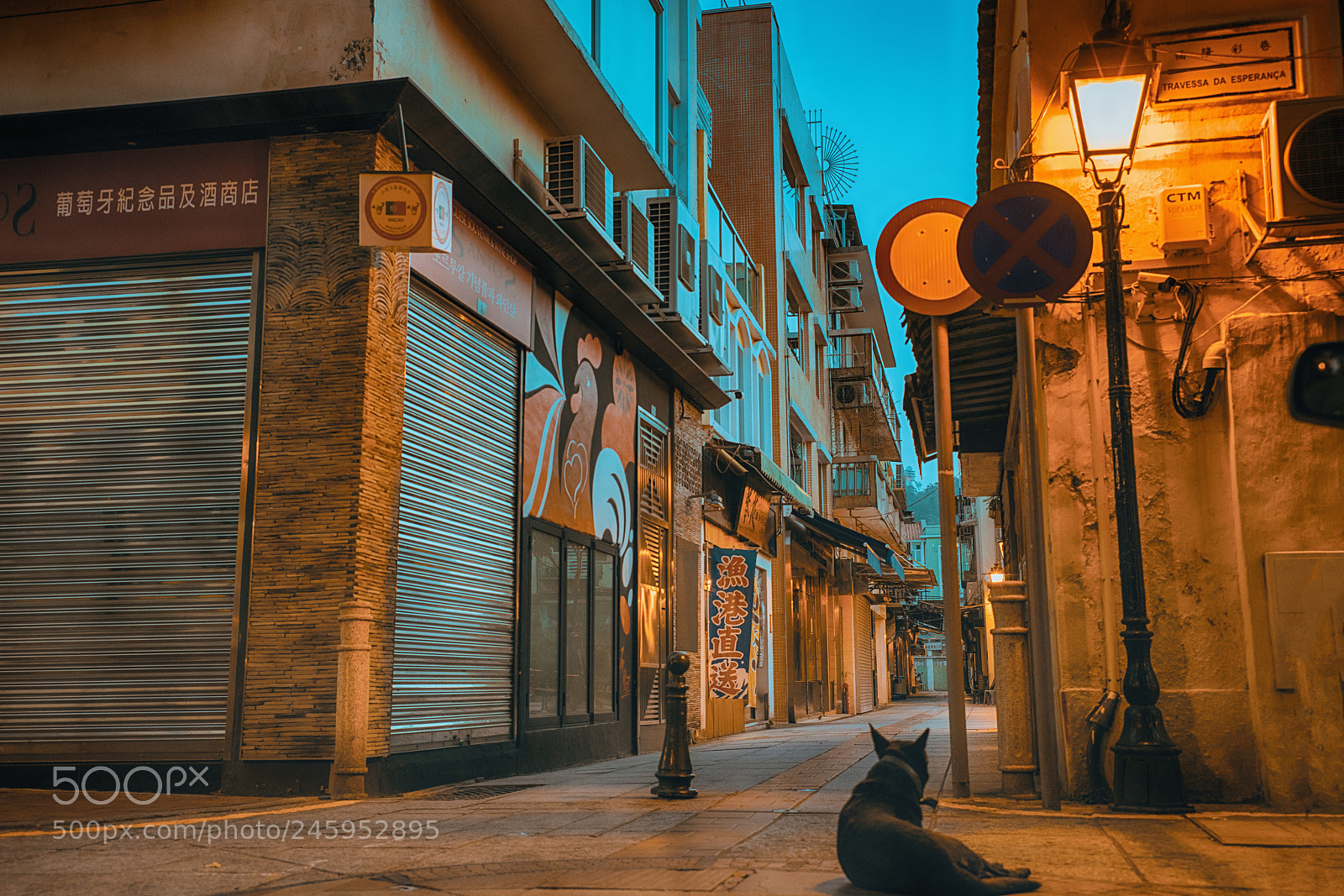 Sony a7R II sample photo. One morning in macau photography