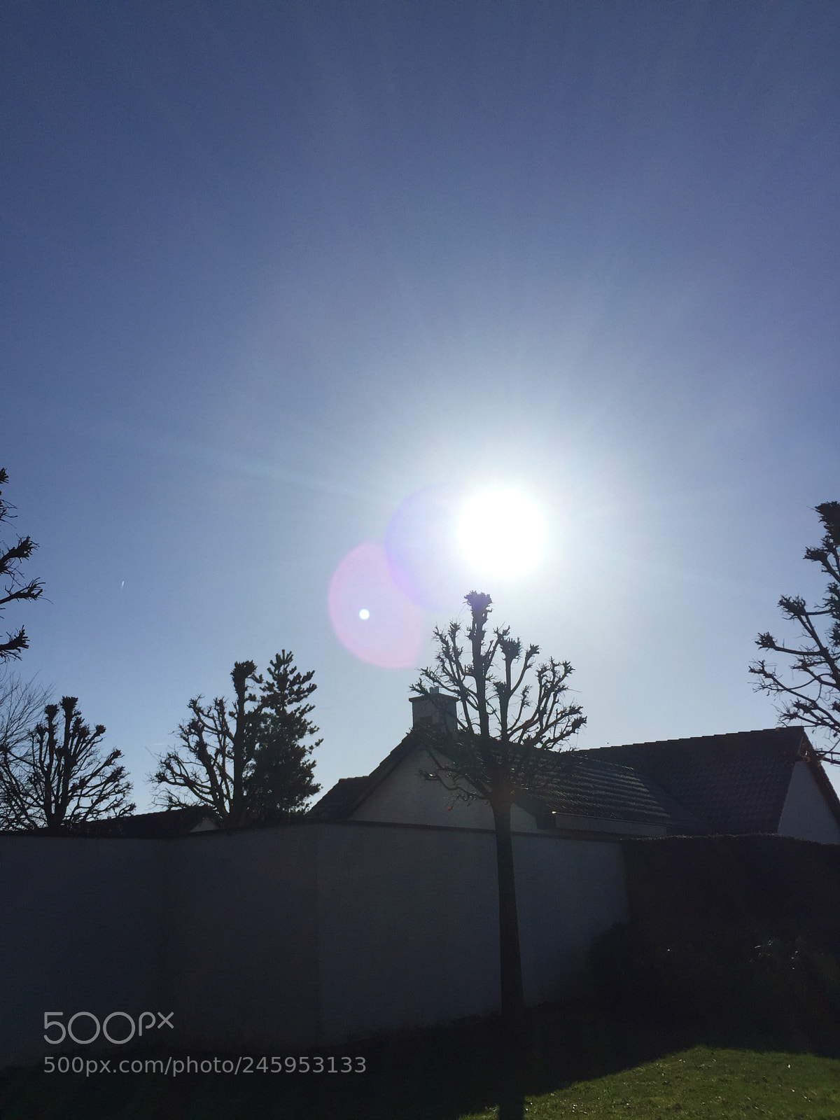 Apple iPhone 6 sample photo. Goodmorning photography