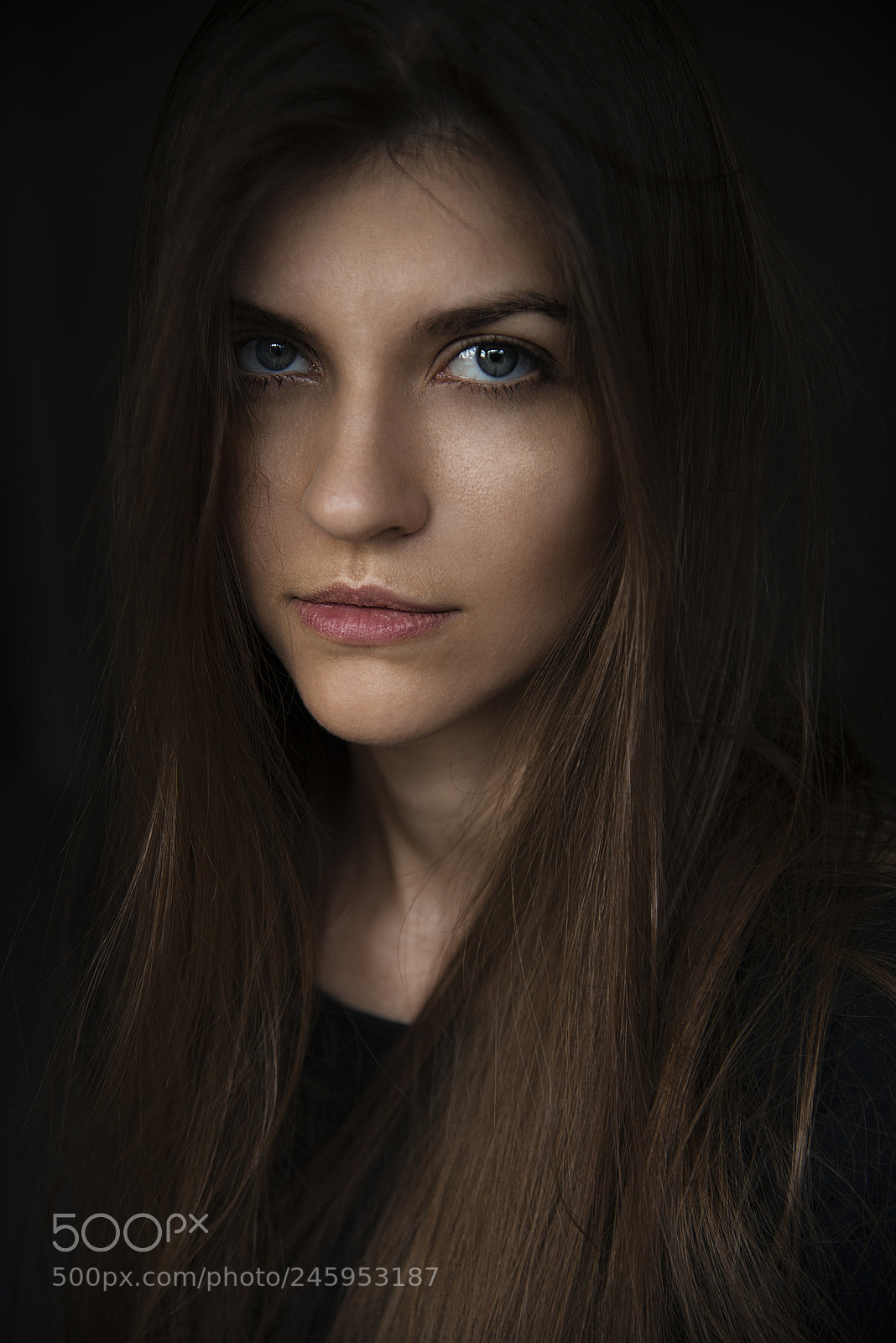 Nikon D800 sample photo. Untitled photography