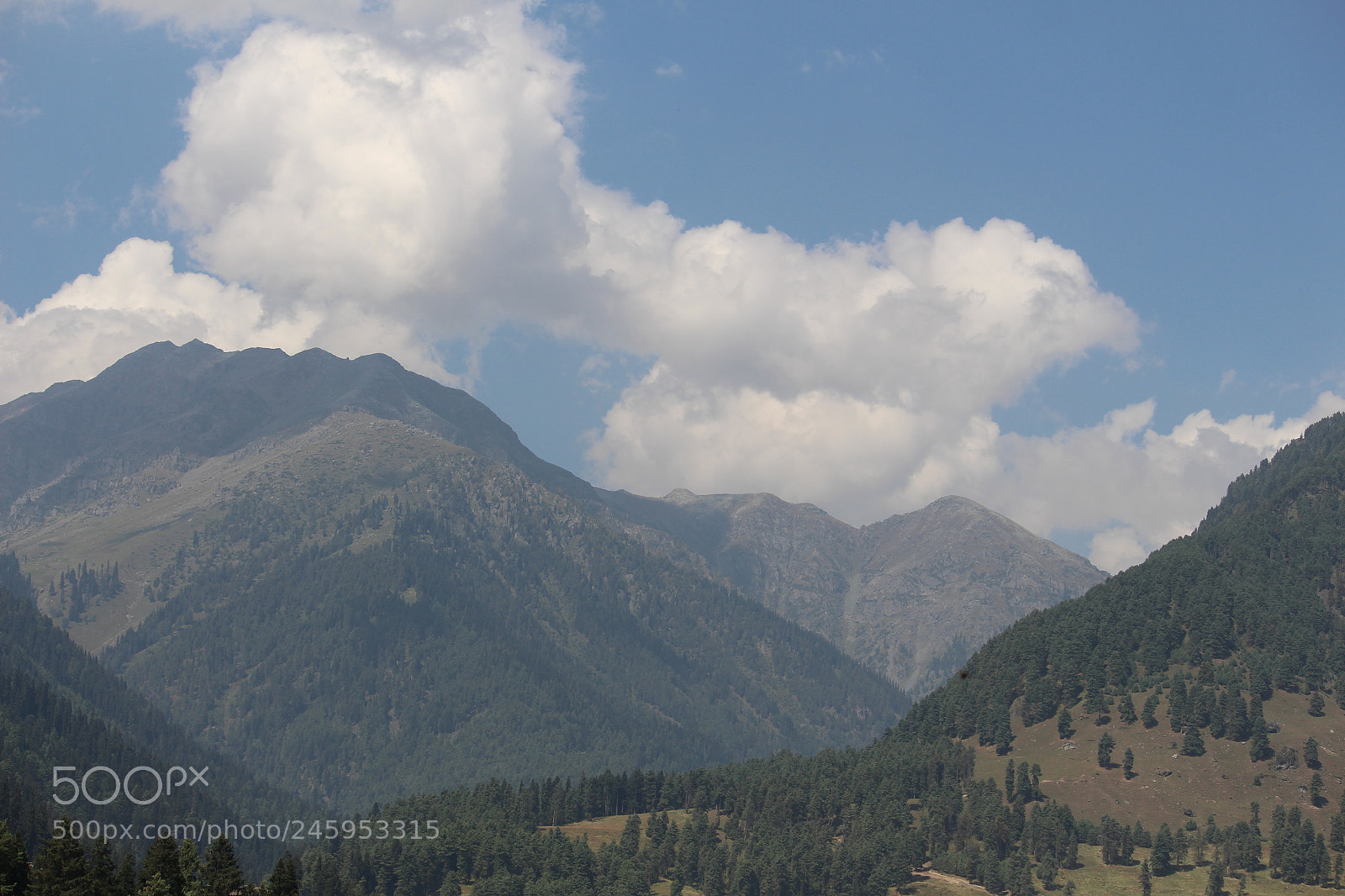 Canon EF-S 55-250mm F4-5.6 IS II sample photo. Img photography