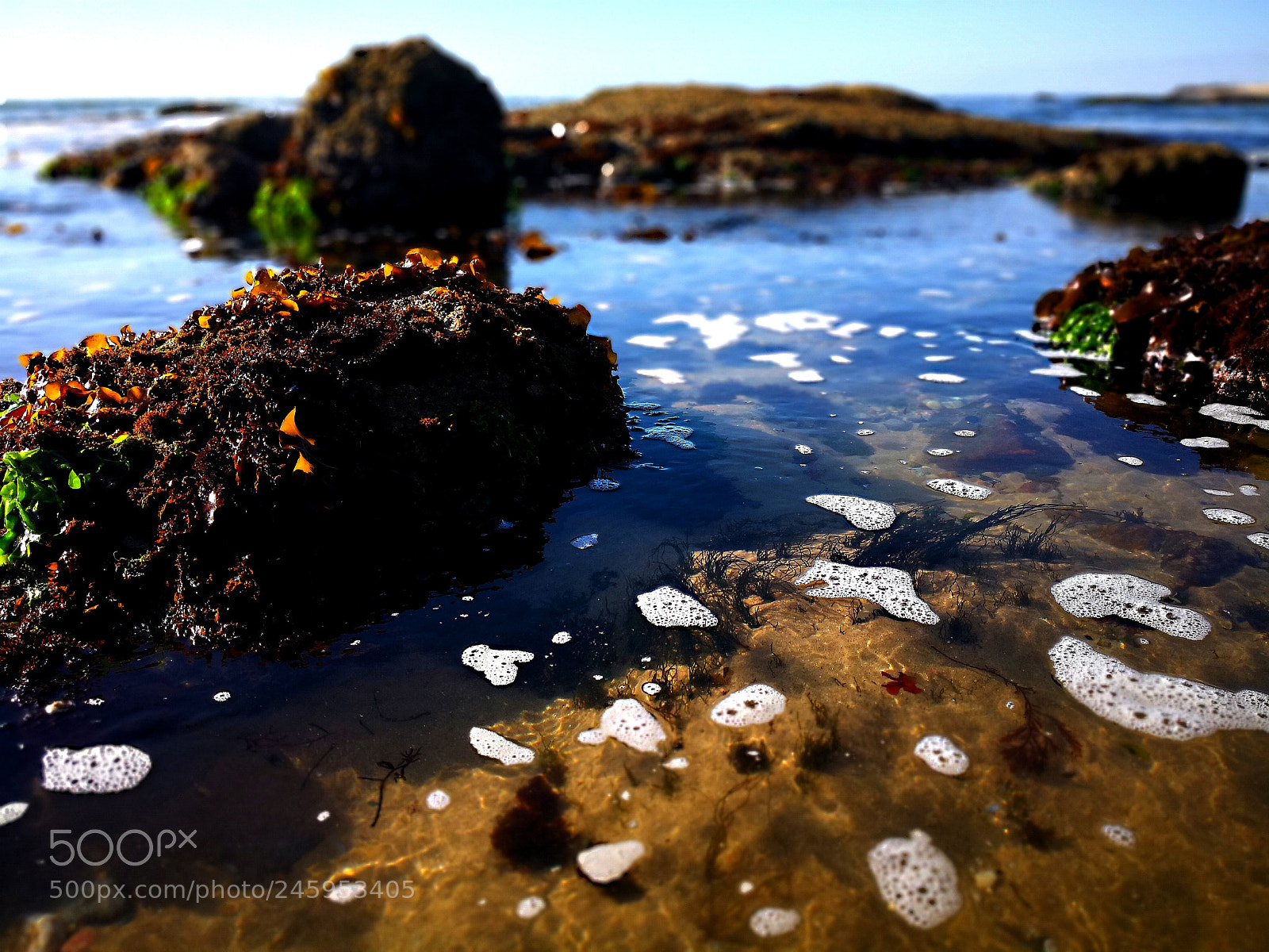 HUAWEI Mate 10 Pro sample photo. Habitat ocean photography