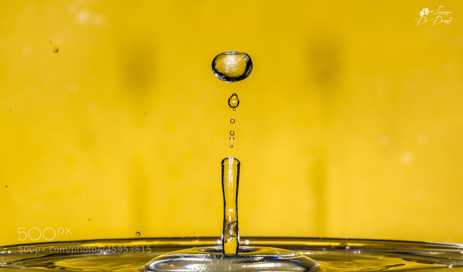 Nikon D5200 sample photo. Ogni cosa, dalla pi photography