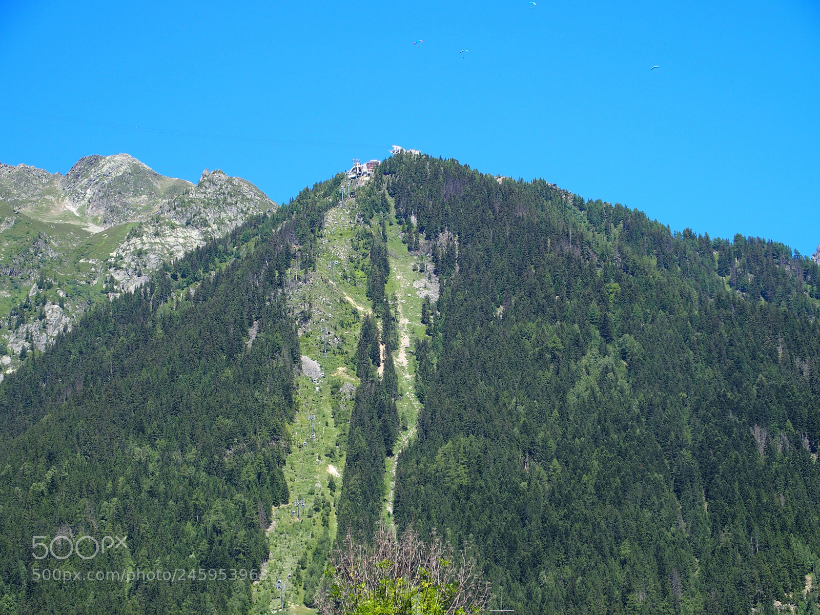 Olympus STYLUS1,1s sample photo. Panoramic landscapes of green photography