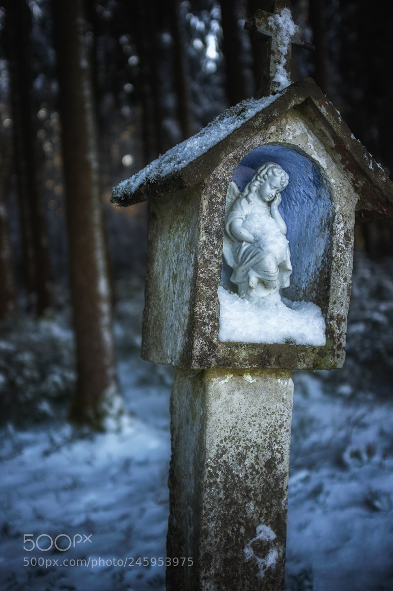 Fujifilm FinePix X100 sample photo. Somewhere in the forest photography