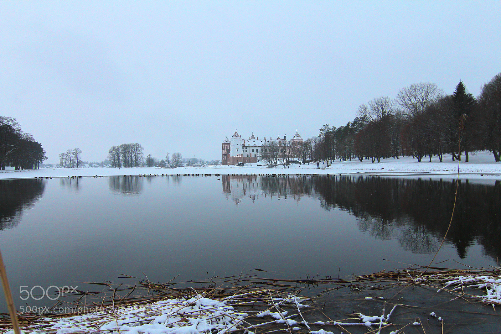 Canon EOS 60D sample photo. Mir castle photography