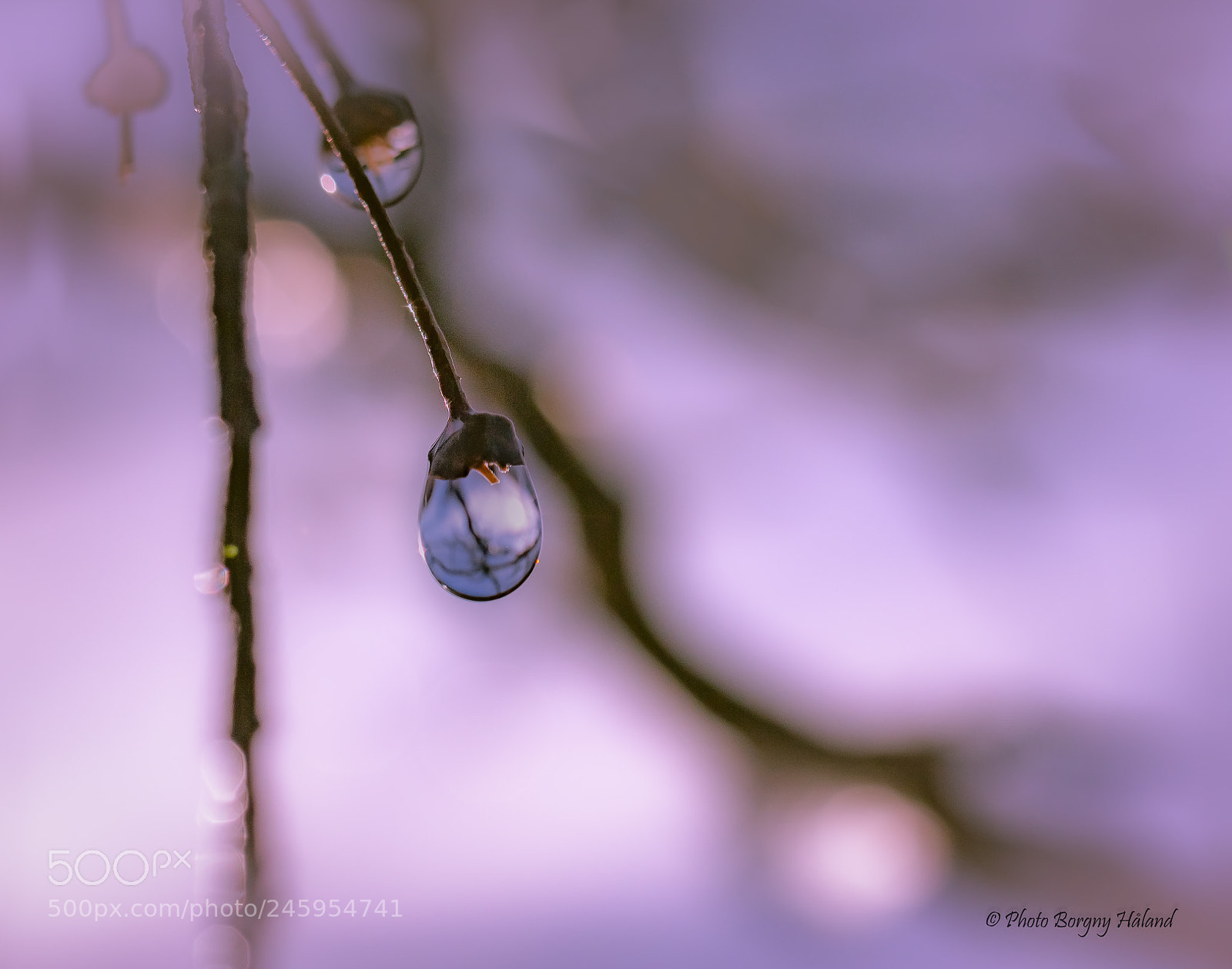 Canon EOS 600D (Rebel EOS T3i / EOS Kiss X5) sample photo. The last drop ! photography