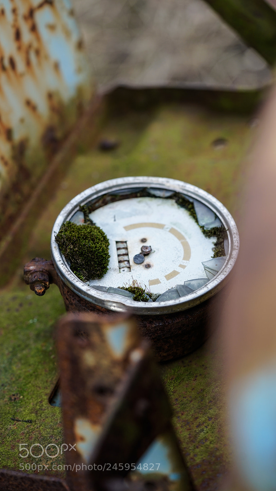 Sony a7R II sample photo. Fuel gauge photography
